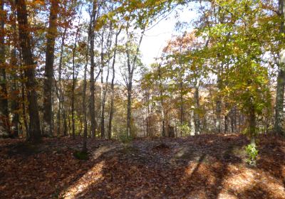 Stafford Civil War Park