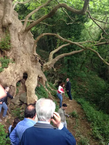 Il Gigante di Curinga