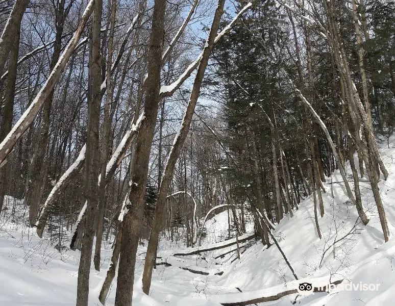 Ski Montagne coupée ski de fond raquette