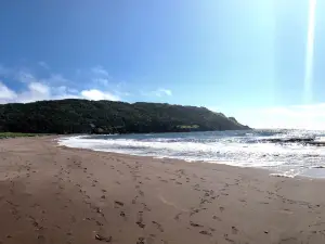 Gooseberry Cove Provincial Park