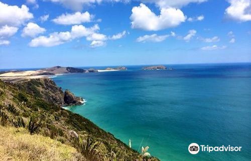 Piha