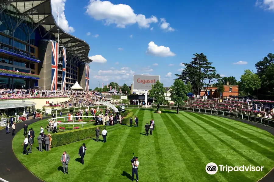 Hippodrome d'Ascot