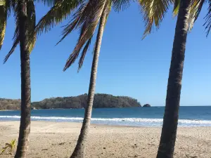 Playa Carrillo