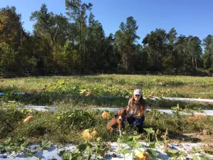 Madrac Farms LLC