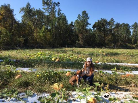 Madrac Farms LLC