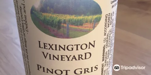 Lexington Vineyard