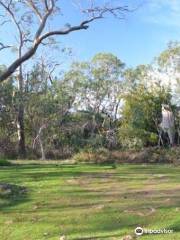 Penola Conservation Park