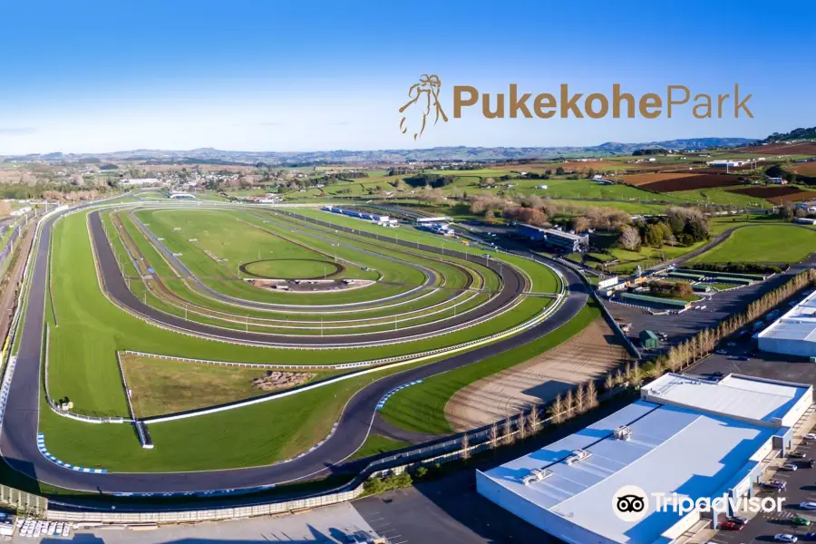 Pukekohe Park