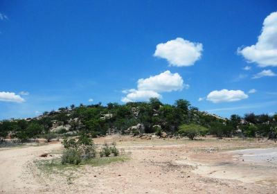 Pernambuco
