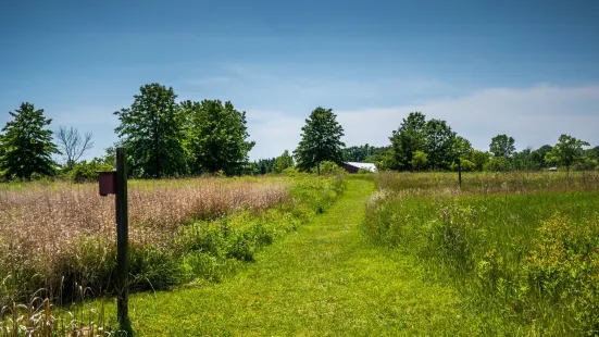 Petros Lake Park