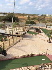 Flamingo Adventure Golf