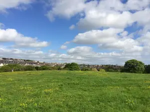 Central Park