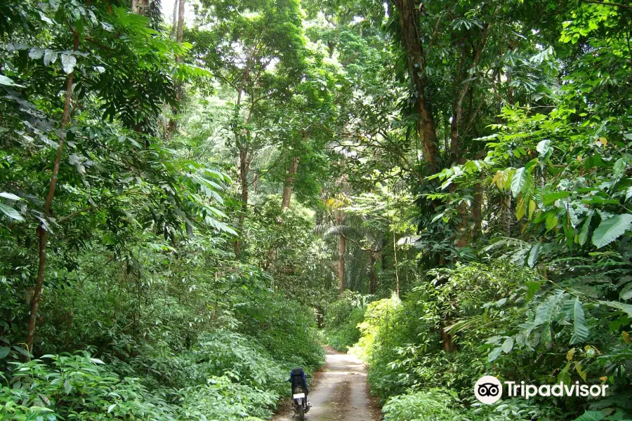 Laiwangi Wanggameti National Park