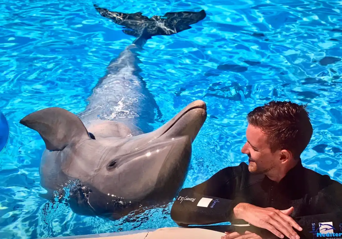 Mediterraneo Marine Park附近的飯店