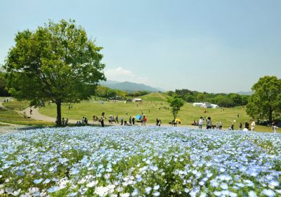 Sanuki Manno Park