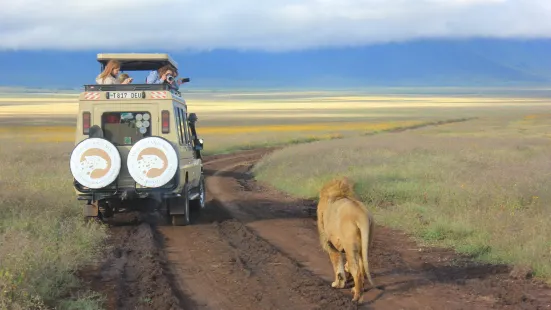 Unlimited Expeditions - The Soul Of Tanzania
