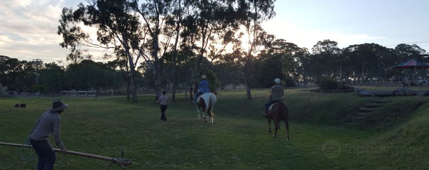 Four Oaks Farm