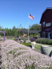 Sunshine Herb and Lavender Farm