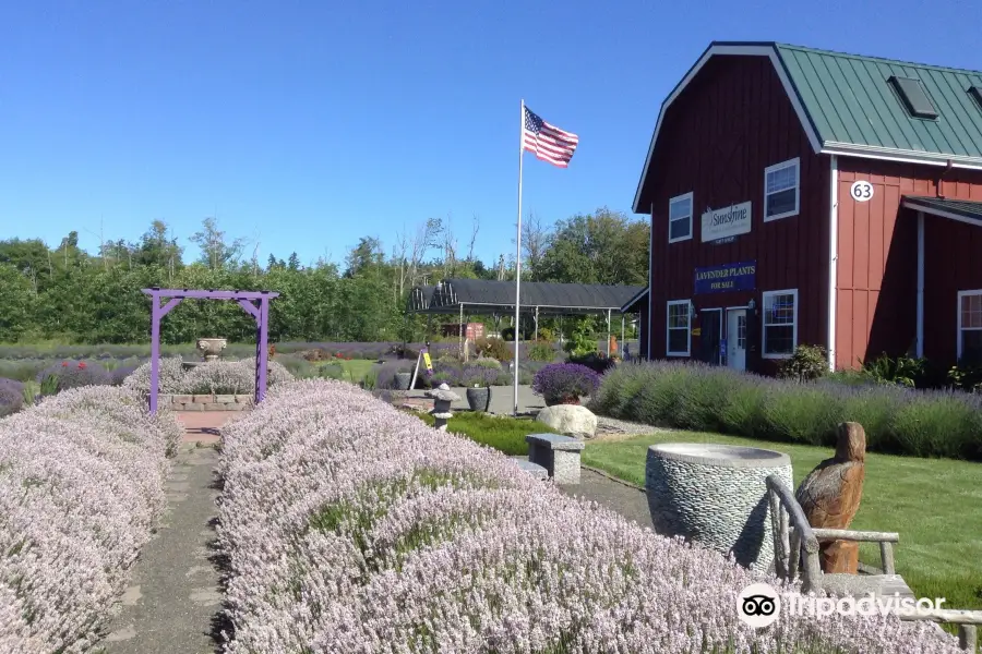 Sunshine Herb & Lavender Farm