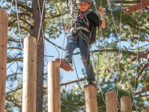 Tahoe Treetop Adventure Parks