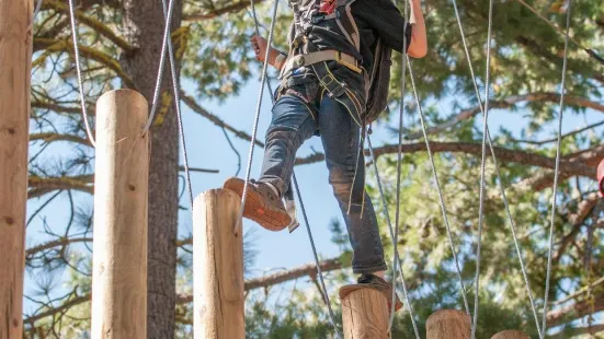 Tahoe Treetop Adventure Parks