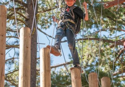 Tahoe Treetop Adventure Parks