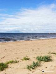 Ayr Beach