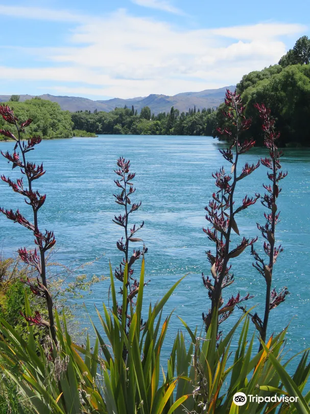 4_Alexandra to Clyde River Track