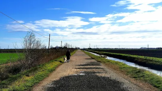 Parco del Delta del Po