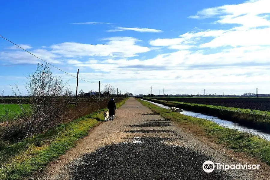 Parco Regionale Delta del Po