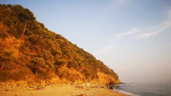 Spiaggia pubblica di Ogliastro Marina