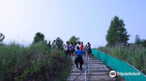 西山火口散步道