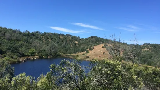 Henry W. Coe State Park