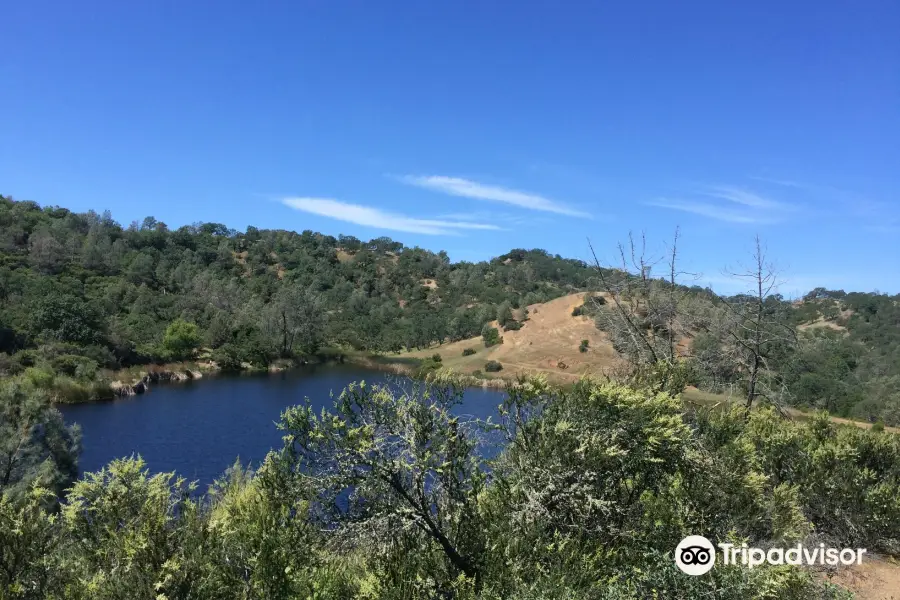 Henry W. Coe State Park