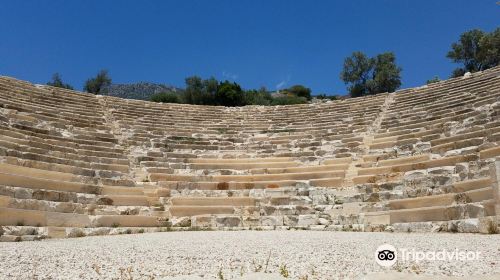 Hellenistic theatre