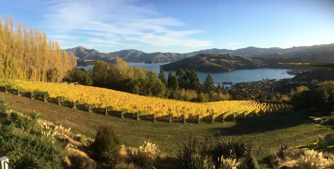 Hotels near Meniscus Wines