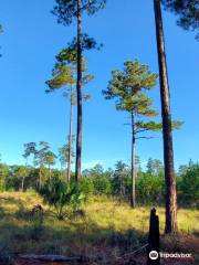 Morningside Nature Center