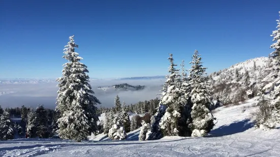 Bogus Basin Mountain Recreation Area