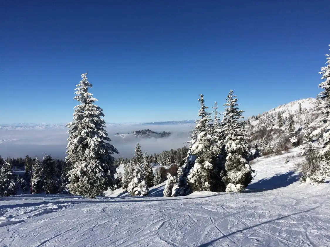 Hotels near Bogus Basin Mountain Recreation Area