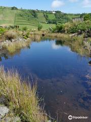 Jardín Botánico de Faial