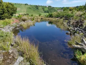 Jardín Botánico de Faial