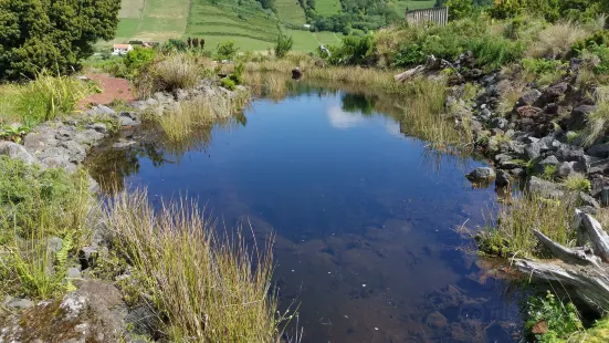 Faial Botanical Garden