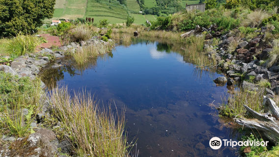 Faial Botanical Garden