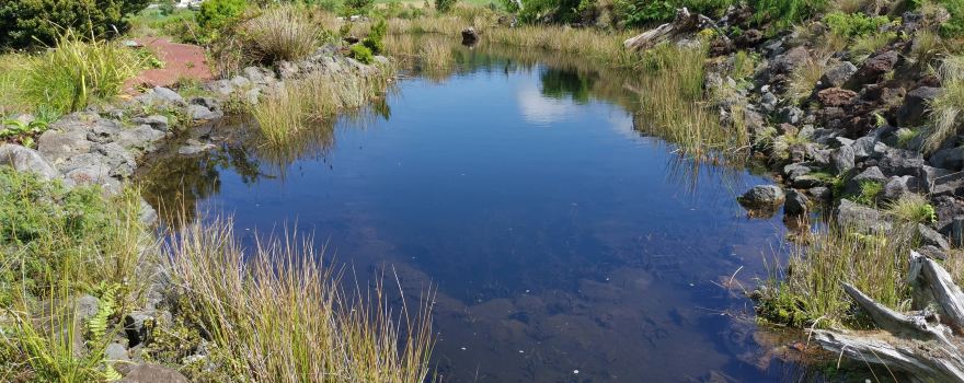 Faial Botanical Garden