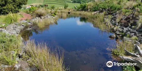 Faial Botanic Garden
