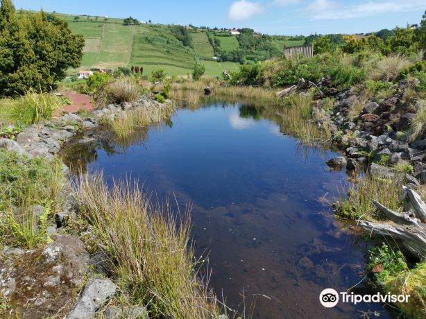 Faial Botanical Garden