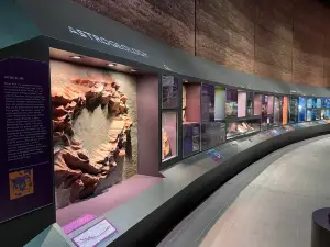 Museum of Central Australia