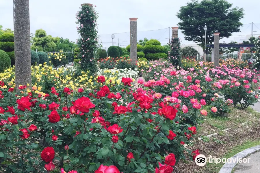 Wakazono Park