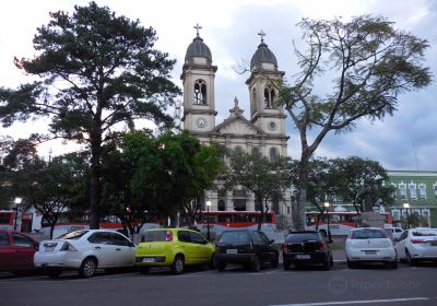 Catedral Metropolitana Nossa Senhora da Imaculada Conceicao