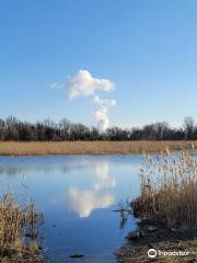 Port Penn Wetlands Trail